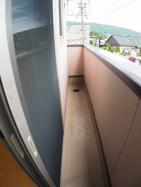 アビシニアン その他