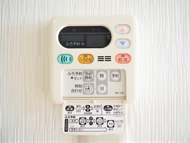 アビシニアン その他