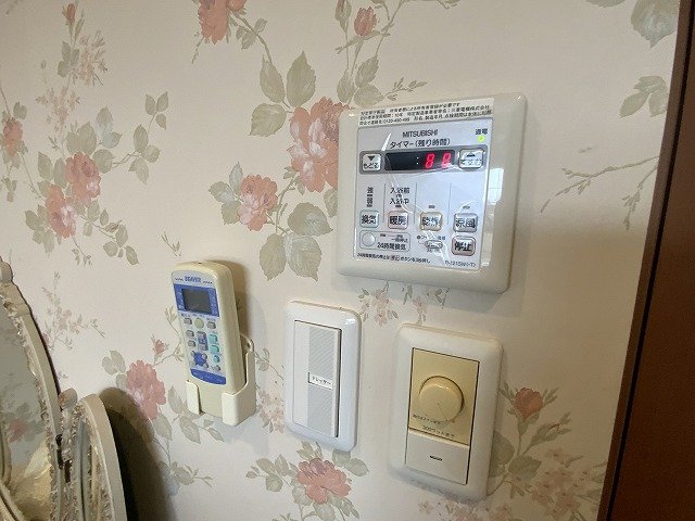 エランテナント その他