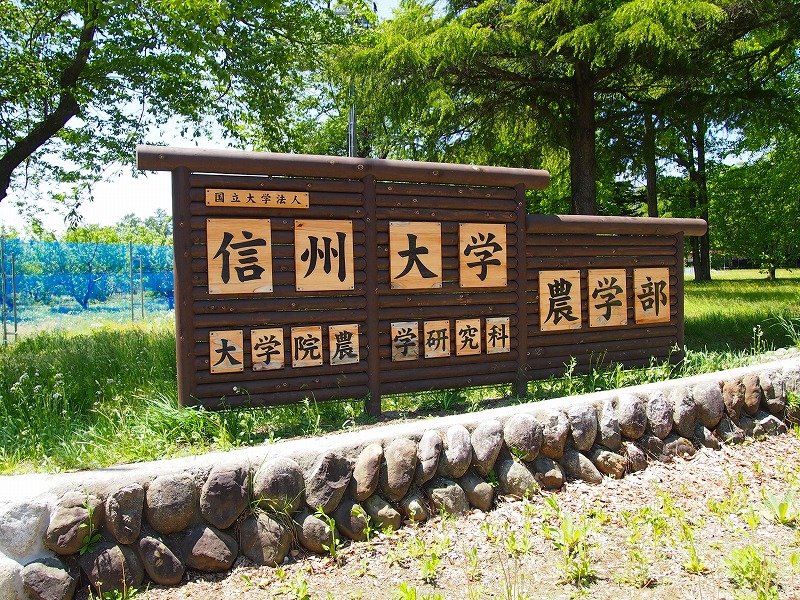 サンライズⅡ その他