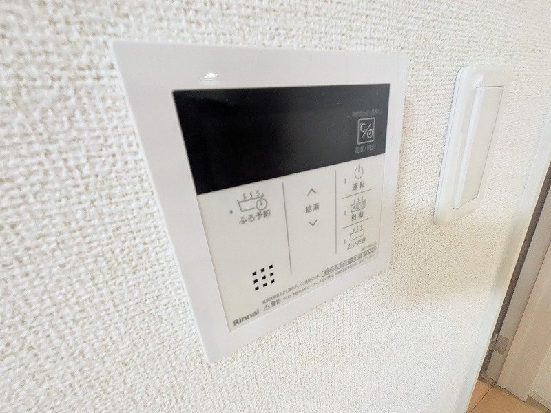 アンボヌール その他