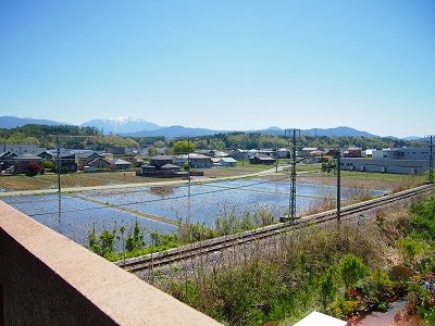 Ｊ，レフォール その他