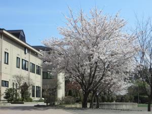 ヴァンヴェール 小学校