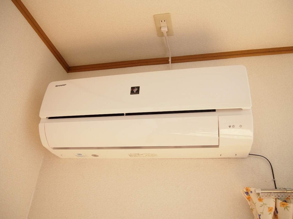 ヴェルートラルヂュⅠ その他