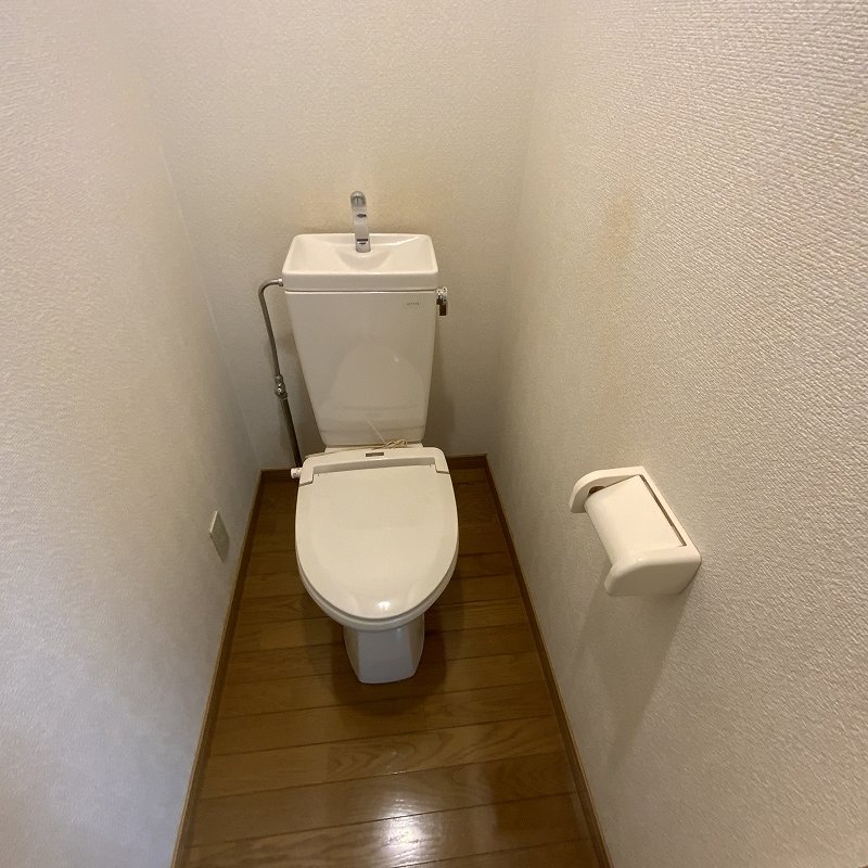 ヴェルートラルヂュⅢ その他