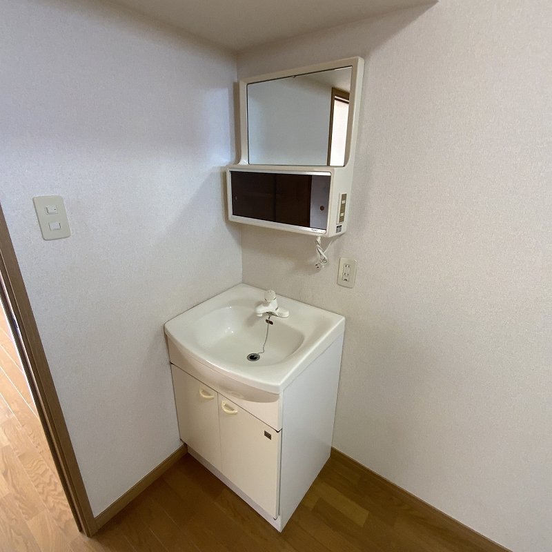 ヴェルートラルヂュⅢ その他