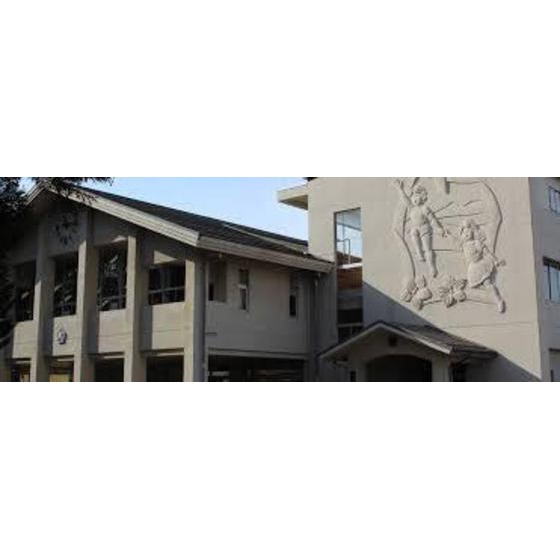 アライブⅣ その他