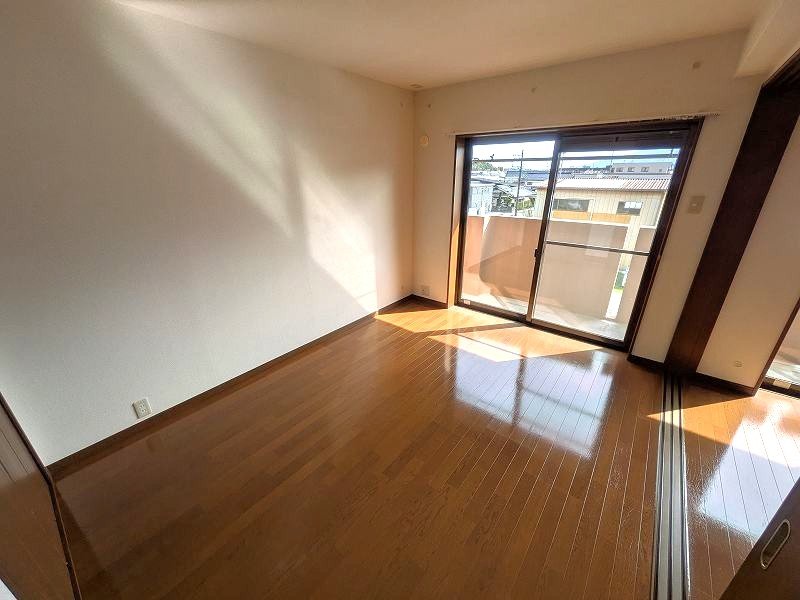 サンシャイン その他