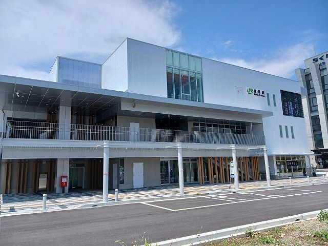 カラコレス その他