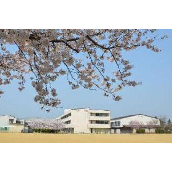 NEXUS　D-room石芝 その他