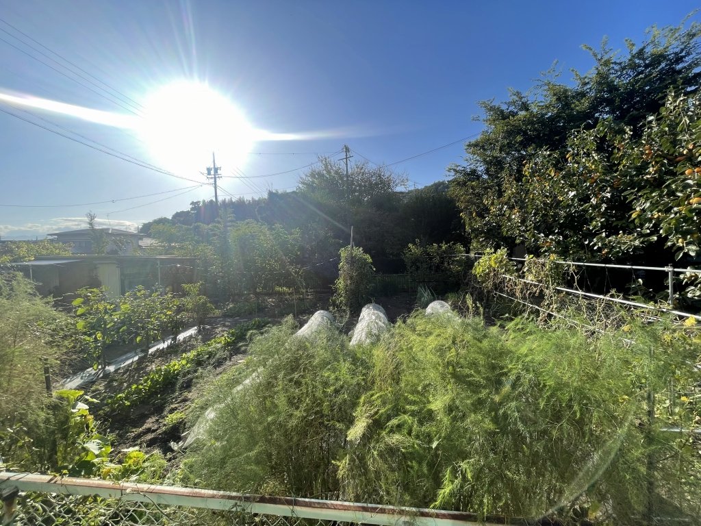 高岡荘 その他