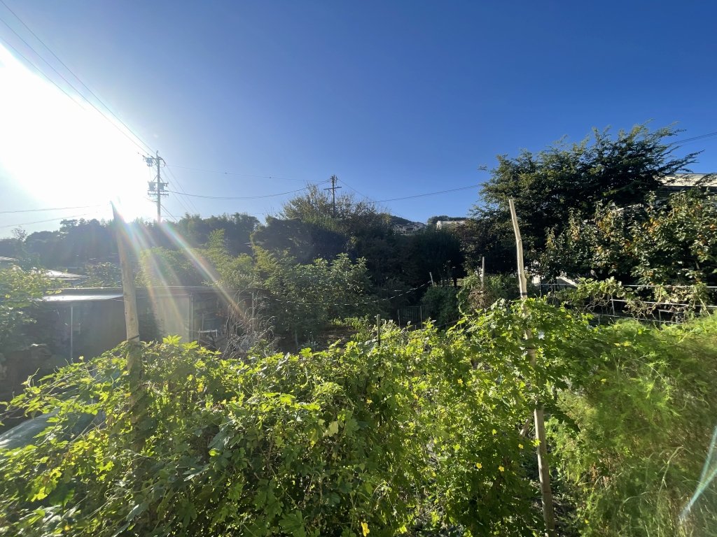 高岡荘 その他