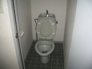 ニューハイツマツモト トイレ