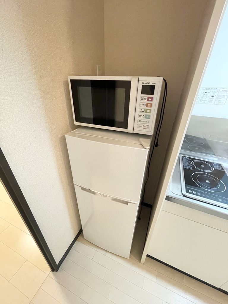 レオネクストドミールＢ その他
