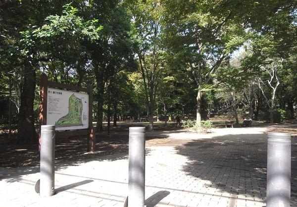 ルナエイト★仲介手数料半月分★ 周辺画像9