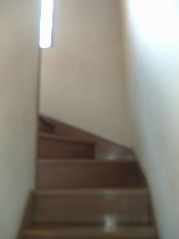 上祖師谷２丁目戸建★仲介手数料半月分★ その他10