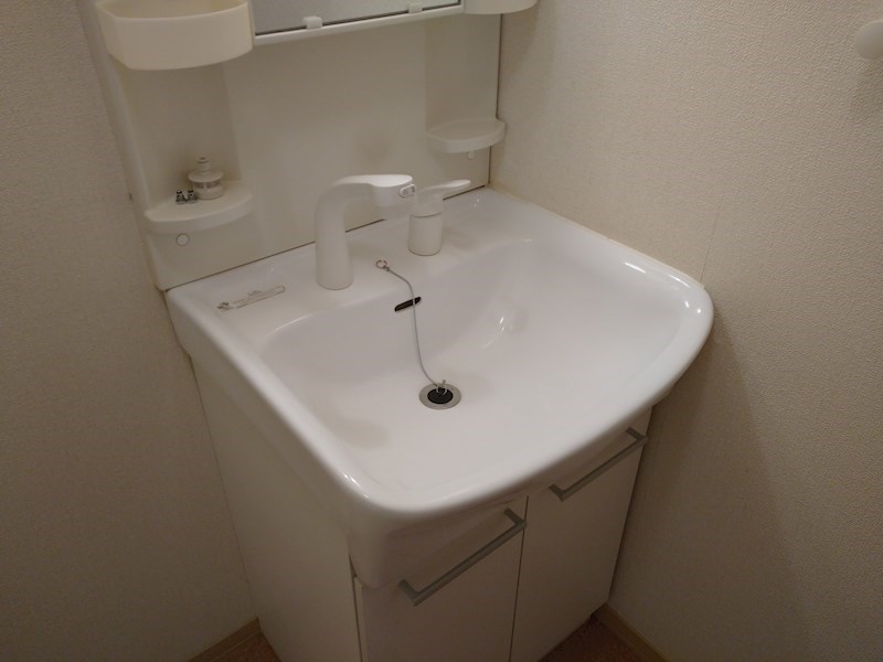 ブランドール 洗面所