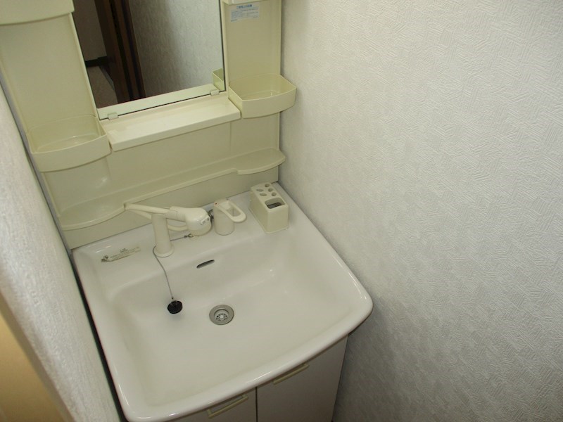 北海道札幌市東区北十二条東４丁目 洗面所