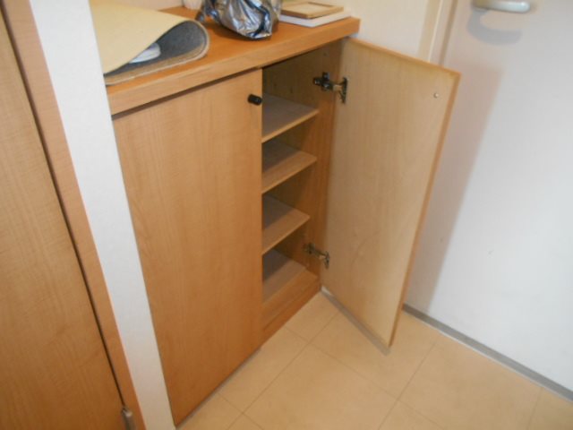 ノースバレー 玄関