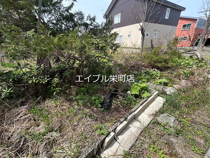 美園1条7丁目貸家 庭