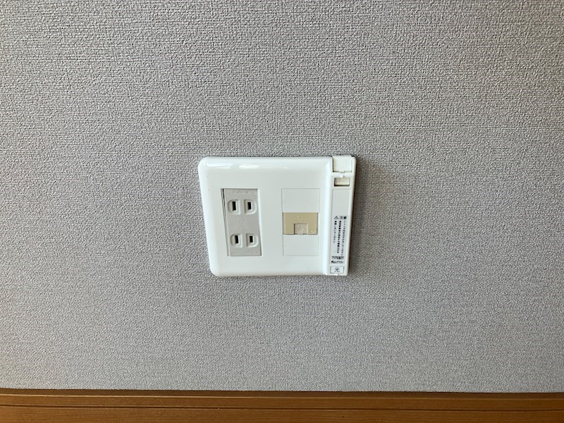 オリヴェイラ その他