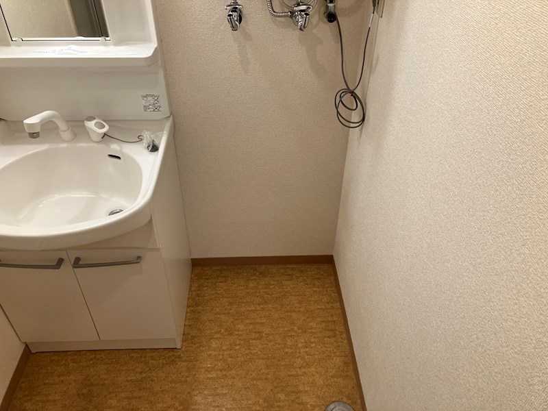 カルディーノN30 洗面所