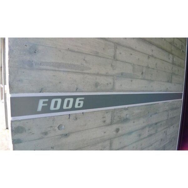 F006 その他