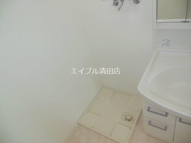 プルメリア その他