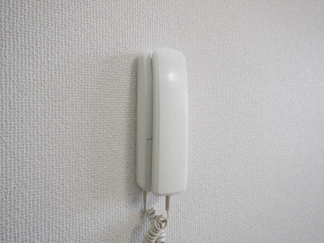 カパルアヴィラス セキュリティ