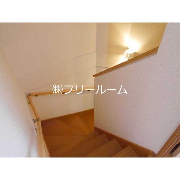 カトレアＡ その他