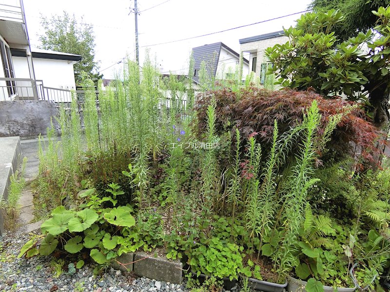 北ノ沢6丁目戸建 庭