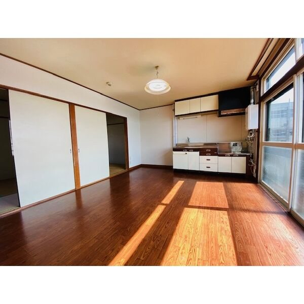 北海道札幌市東区東苗穂九条２丁目 リビング
