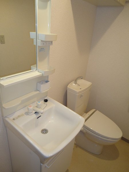 ボナール・A その他4