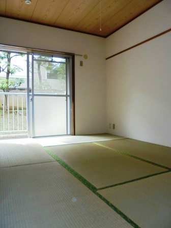 その他10