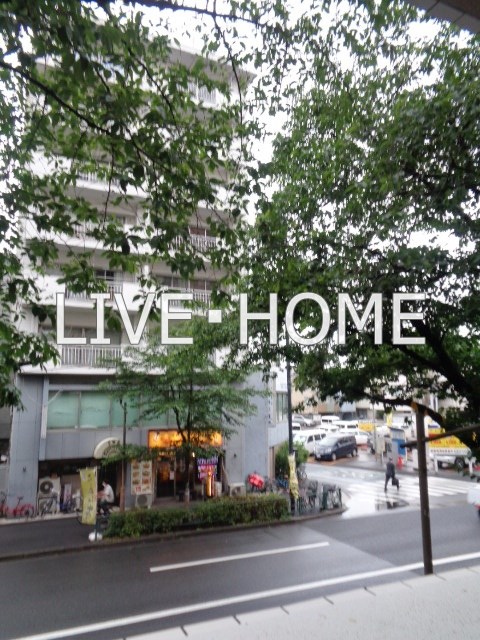 その他15