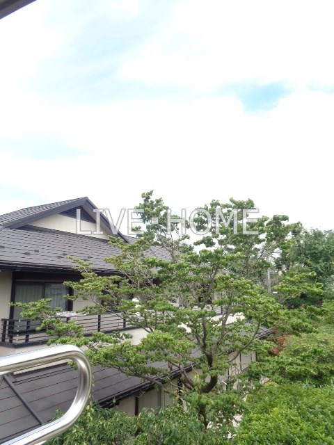 その他11
