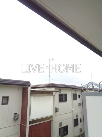 その他16