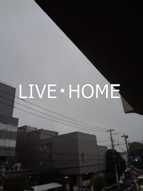 その他11