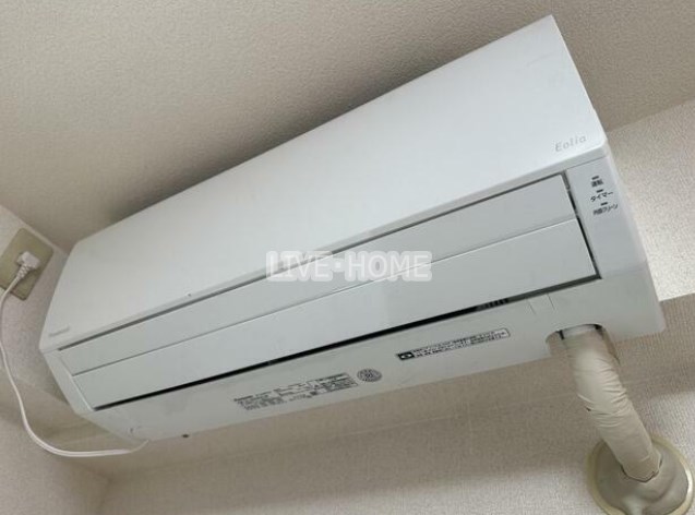 その他24