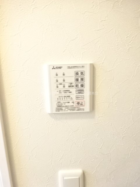 シルフィッド　Ｍ      その他6