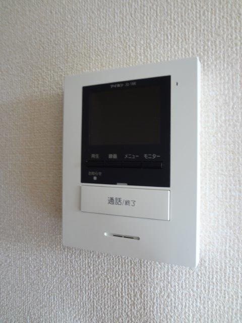 ワグネルペレイカカルドーゾ  その他3