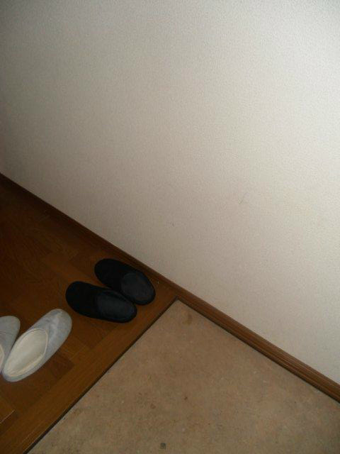 ワグネルペレイカカルドーゾ  その他6