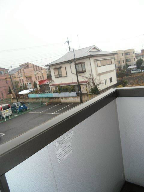 ワグネルペレイカカルドーゾ  その他15