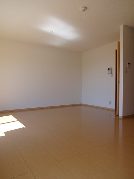 その他11