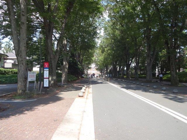 ルジェンテ武蔵野 周辺画像5