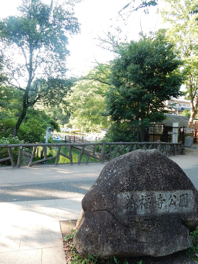 善福寺3丁目戸建賃貸住宅  周辺画像2
