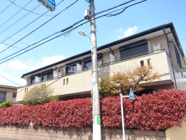 その他11