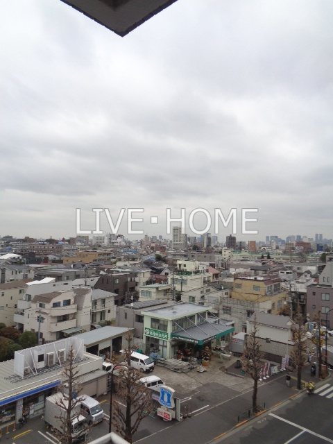 その他31