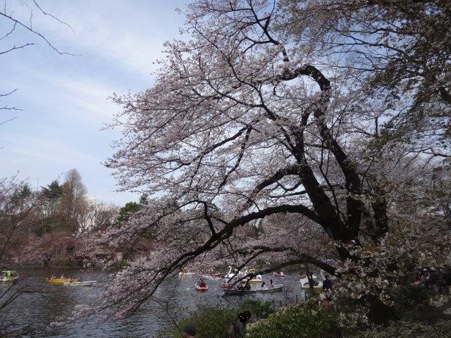 La Paz (ラ　パーズ) 周辺画像10