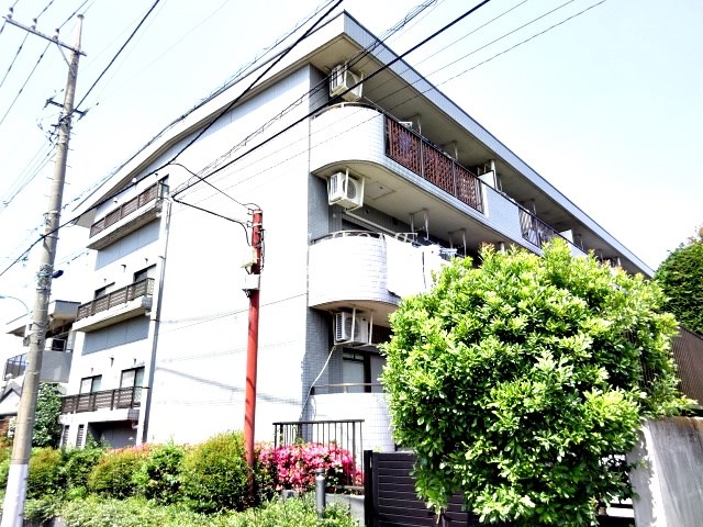 その他11